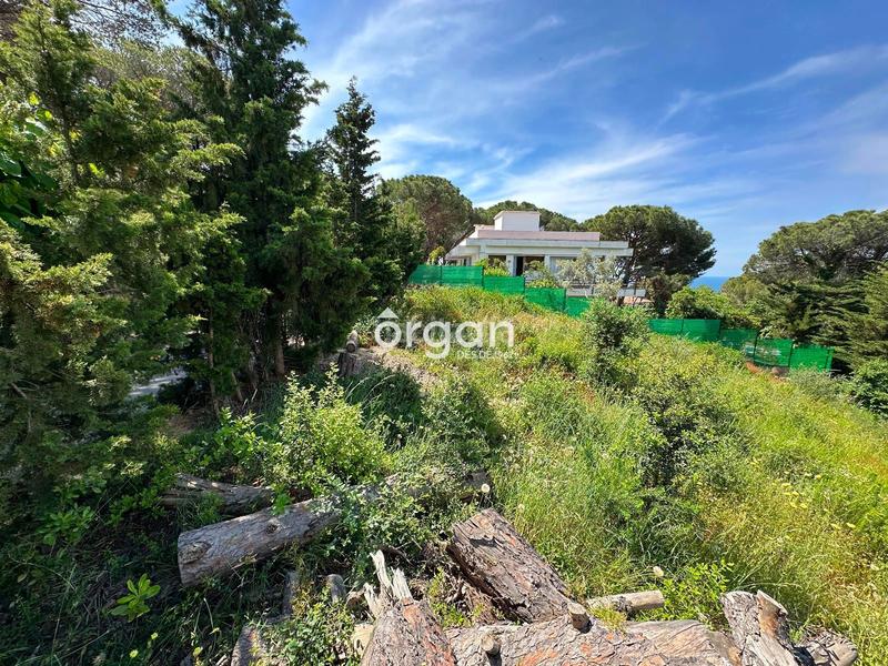 Foto d55d757a-a7a6-4943-910d-c46e5648ad18. Propriété dans Montgoda Lloret de Mar