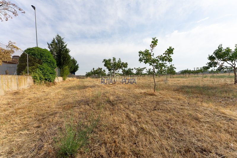 Foto 5a95a3ef-260e-4644-9e31-0ad9e90eeb6b. Masia a calle poeta alfonso de peñalosa 5 a Ciudad Jardín - Vista Alegre Zamora