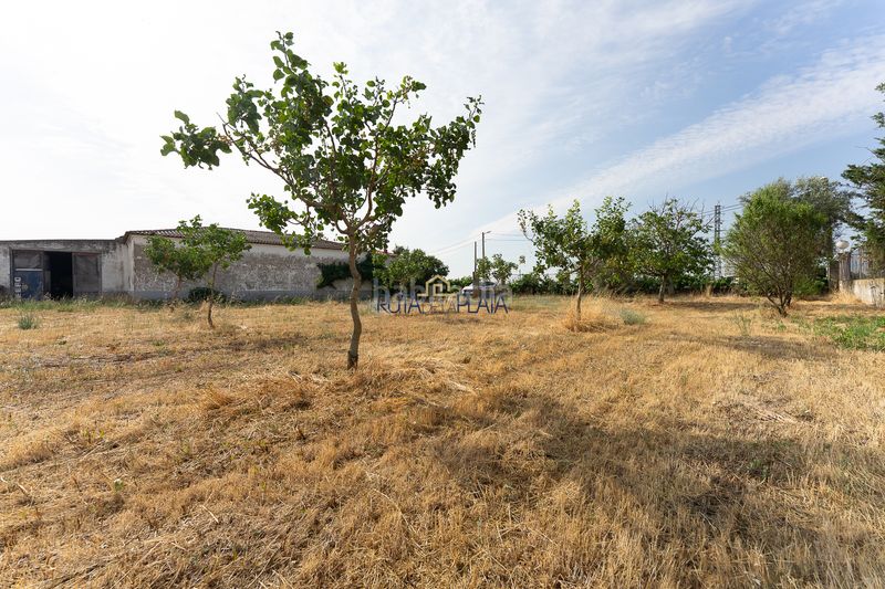Foto 896b4936-7801-46d0-80fd-d6a00c7512ab. Masia a calle poeta alfonso de peñalosa 5 a Ciudad Jardín - Vista Alegre Zamora