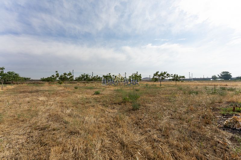 Foto fdecdbc6-26b4-4771-8423-93beb943a22c. Masia a calle poeta alfonso de peñalosa 5 a Ciudad Jardín - Vista Alegre Zamora