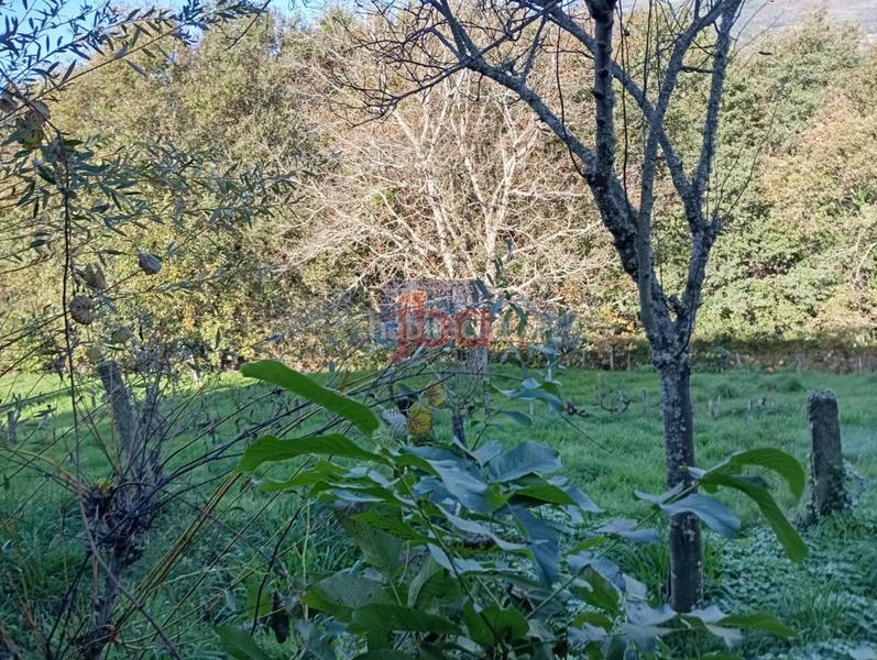 Foto 163d35a4-5f47-461d-99de-cd5758d90ddc. Casa a Lobeira