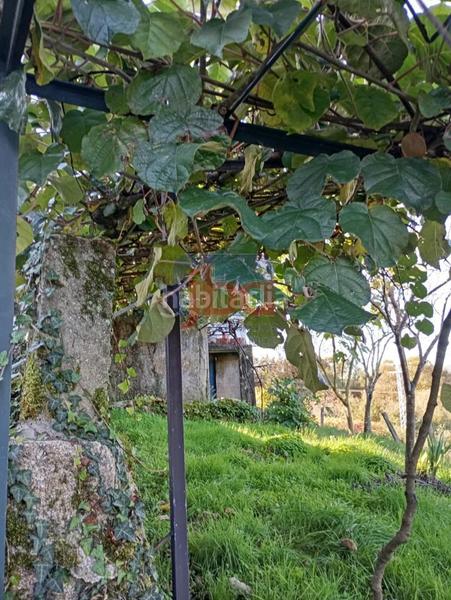 Foto da6f3fad-f893-43cf-b88a-1c67a73e8a69. Casa a Lobeira