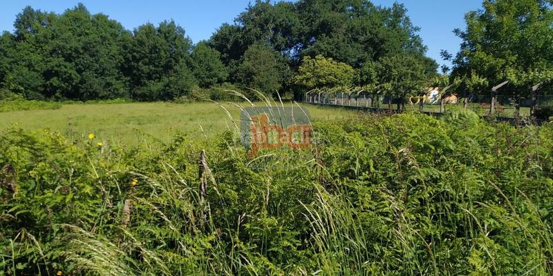 Foto bc7b0f7b-217a-4b98-ae07-85cd74fd8357. Terreno residencial en Vilamarín