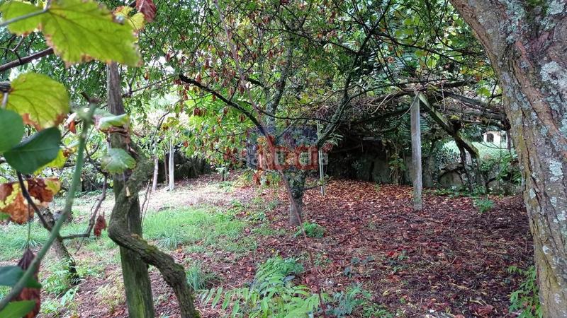 Foto 6d5b4694-5688-4e84-ba6e-d7455362f77f. Casa en Ventiun Ourense