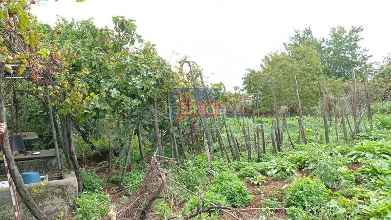 Foto f57b9c2b-e921-449b-9e71-835299bbd22e. Casa en Ventiun Ourense