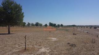 Finca rústica en Pedanías - Extrarradio. Terreno rustico en zona las perdices, carretera jaen