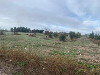 Finca rústica en Munera. Se venden 30.000m de terreno rustico, casa y nave en ctra de jae