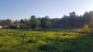 Residential Plot in Lugar chancelas 33