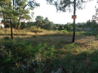 Residential Plot in Lugar fonte mouro 25