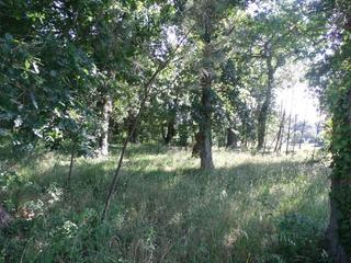 Residential Plot in Aldea abanqueiro 72