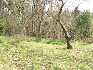 Terreno residenziale in Lugar cabalariza 9