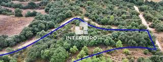 Terreny residencial  N/a. Inca rústica de 3890 m
