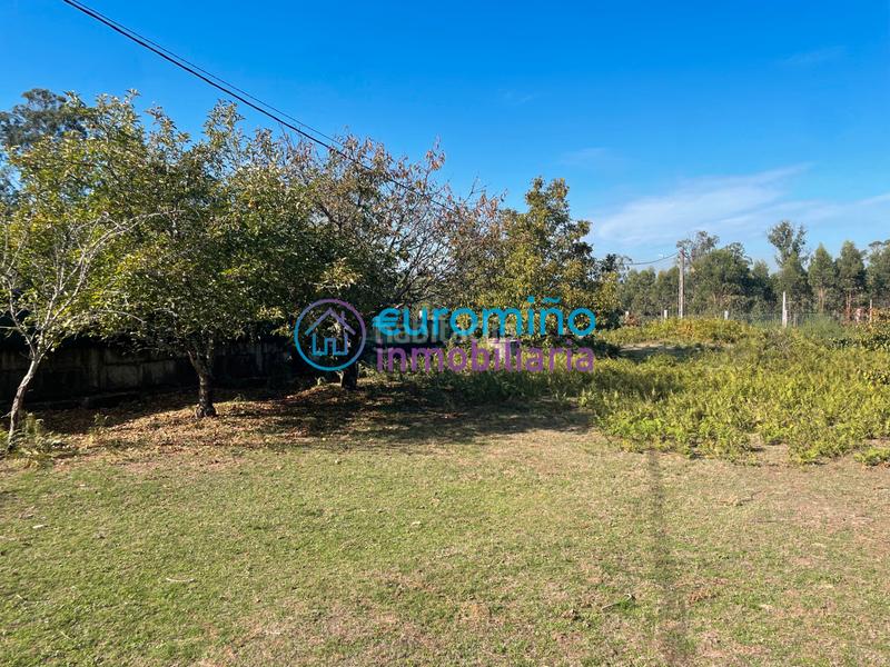 Foto f27106e8-7c09-4d30-86ec-9d34ba78bec1. Casa en caseriu ameijeira 2 en Salceda de Caselas