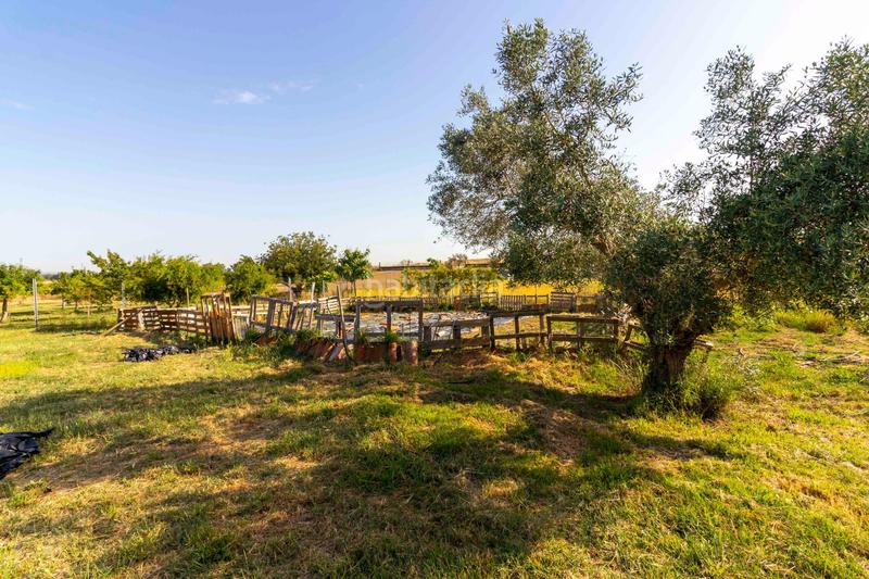 Foto 07456ba7-4e1e-4fe1-abd6-c9a0c569989b. Chalet avec chauffage parking piscine dans Las Vaguadas Badajoz