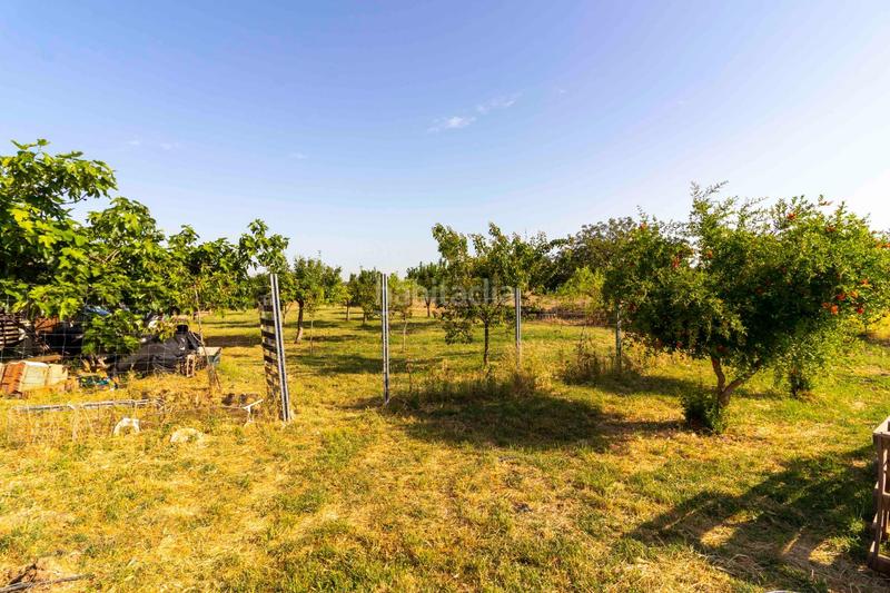 Foto 72b84519-9b8a-4cc4-985f-02c7327b3333. Chalet avec chauffage parking piscine dans Las Vaguadas Badajoz