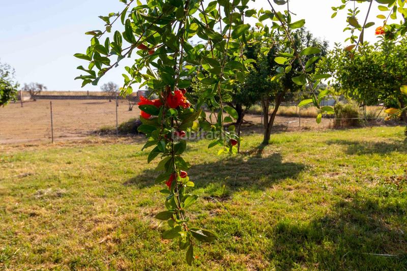Foto 739994b8-a5a2-495a-826e-1c119b745f9c. Chalet avec chauffage parking piscine dans Las Vaguadas Badajoz