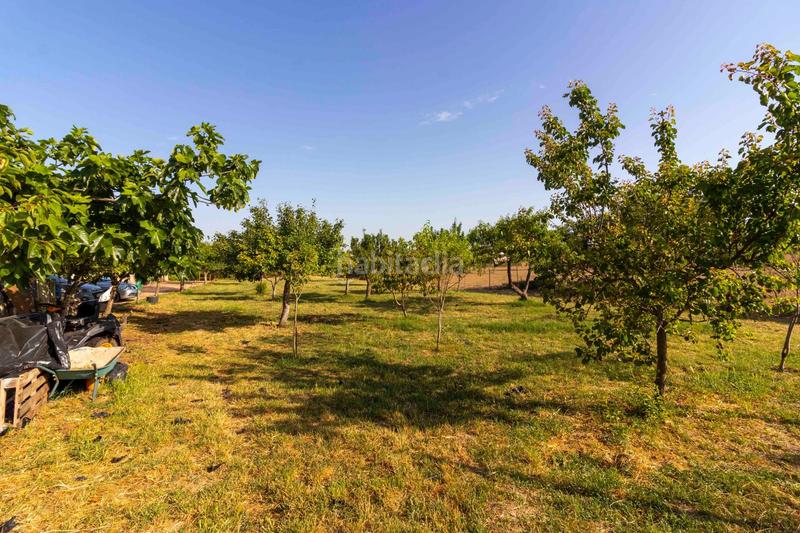 Foto b88d9f2e-4b81-4b21-b075-e2ce7f2f519c. Chalet avec chauffage parking piscine dans Las Vaguadas Badajoz