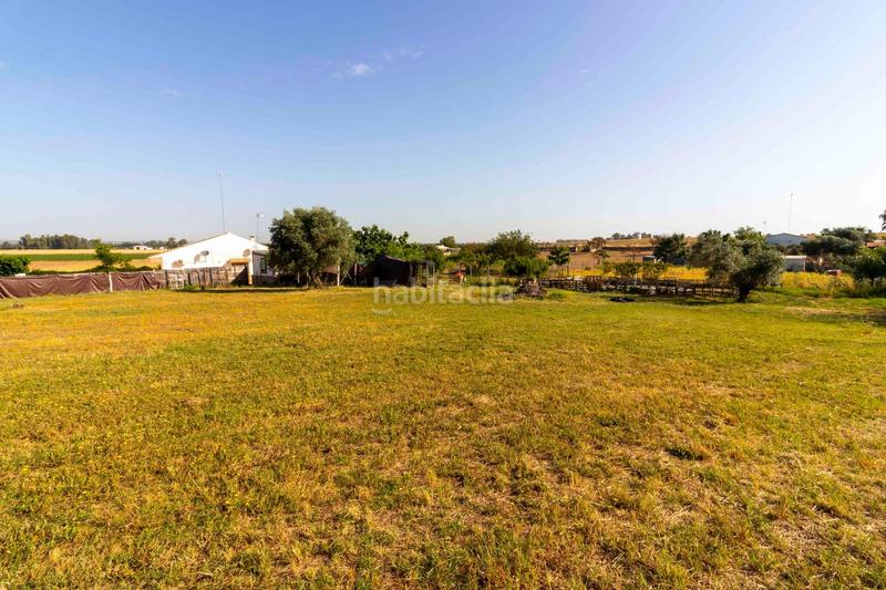 Foto e7d9db49-c843-49d6-a833-2ee9d2f1f6a9. Chalet avec chauffage parking piscine dans Las Vaguadas Badajoz