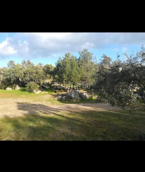 Foto afa61d5b-1ce3-4831-b350-6d07973c6416. Mas dans Villar del Rey