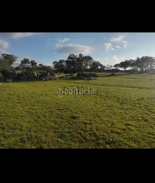 Foto fe005b73-4293-4768-b9c4-45b2b6c2fd7b. Mas dans Villar del Rey