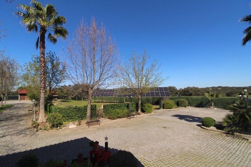 Foto 08c16d9c-3d52-465e-bbfd-9b3d3d59a7e8. Casa amb calefacció piscina a Carretera de Sevilla - Los Montitos Badajoz