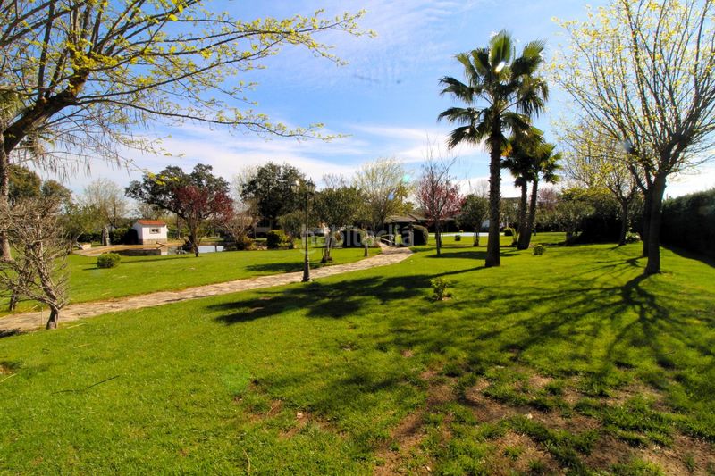 Foto 4f5726c0-67dd-4861-8c02-b81cd2e31001. Casa amb calefacció piscina a Carretera de Sevilla - Los Montitos Badajoz