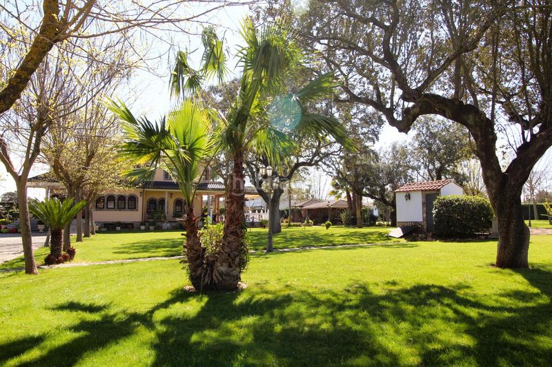 Foto cfa68c42-bb6f-48b1-b848-ed91d3b5a643. Casa amb calefacció piscina a Carretera de Sevilla - Los Montitos Badajoz