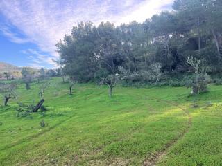 Finca rstica a Felanitx Poble. Terreno en felanitx