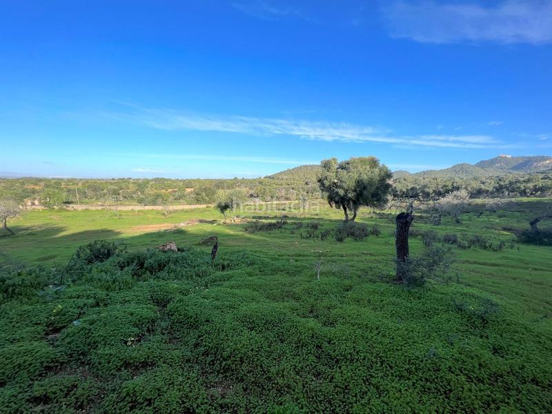 Foto 0af2abc6-7e0c-452a-95a9-cff648643557. Rural plot in Felanitx poble Felanitx