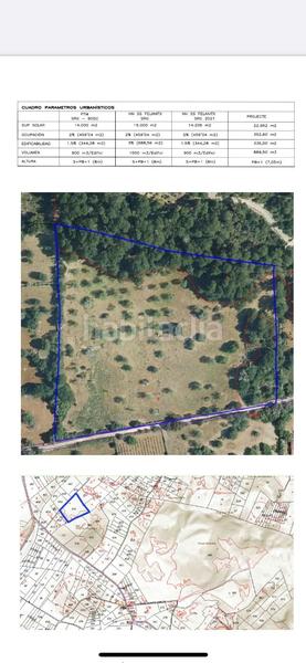 Foto 2ac3a627-299c-452b-bb85-538a62222416. Rural plot in Felanitx poble Felanitx