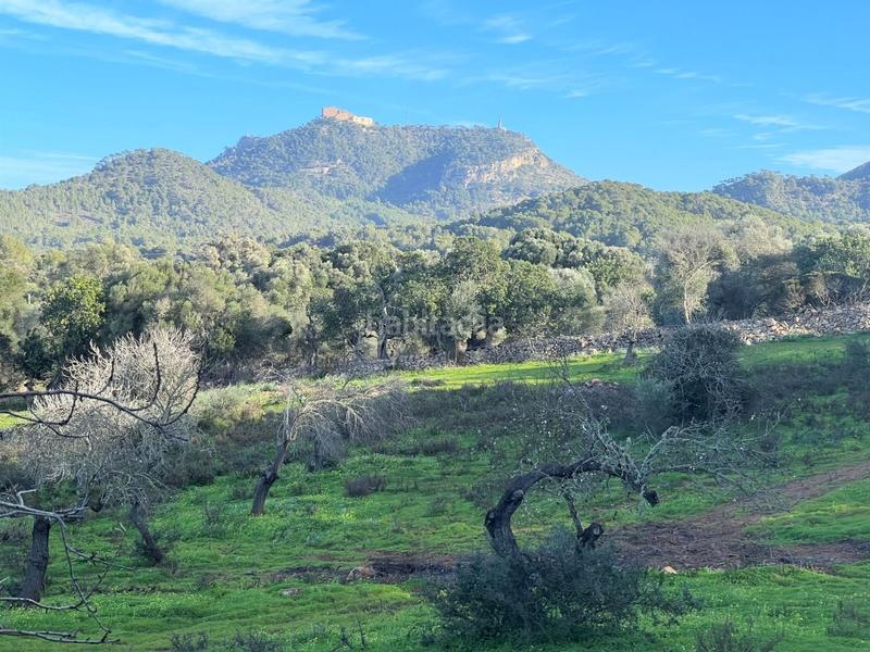 Foto 449c74ff-e8a6-4a82-abeb-d2ae0caf9855. Rural plot in Felanitx poble Felanitx