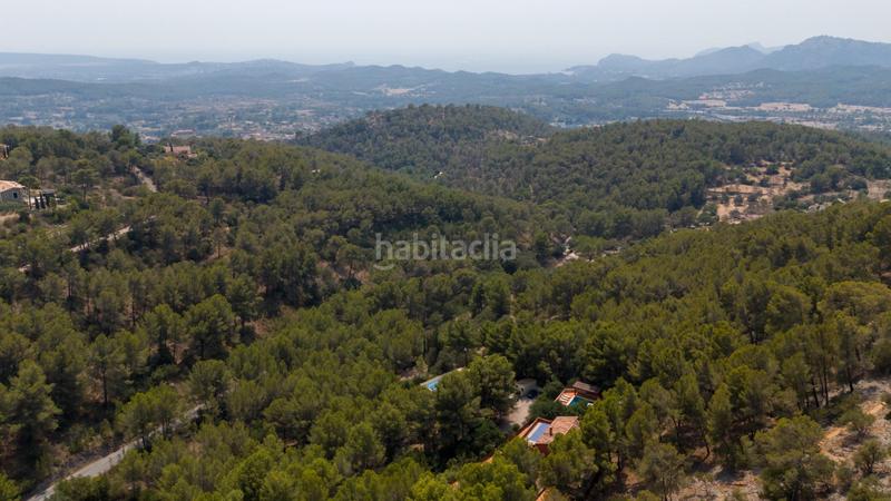 Foto c07da039-0bb6-4494-b6f7-272b0b0c837d. Casa  independiente en son font en Calvià poble Calvià