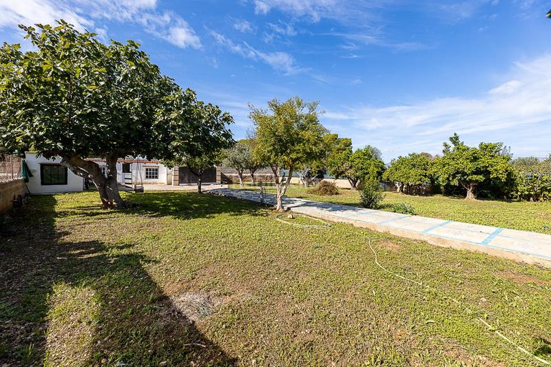 Foto 58c00dd8-4836-46e4-a8a1-ed273c6aa44a. House with parking pool in Els pla de na Tesa Marratxí