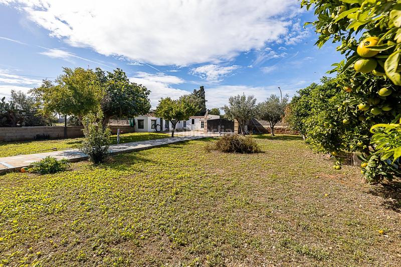 Foto f4897a69-ad0e-4941-903f-52e3e48b51dc. House with parking pool in Els pla de na Tesa Marratxí