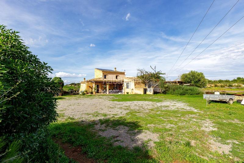 Foto 3041b2ca-c731-44a1-a394-b1b1be82a12c. Xalet amb calefacció aparcament piscina a Manacor centre Manacor