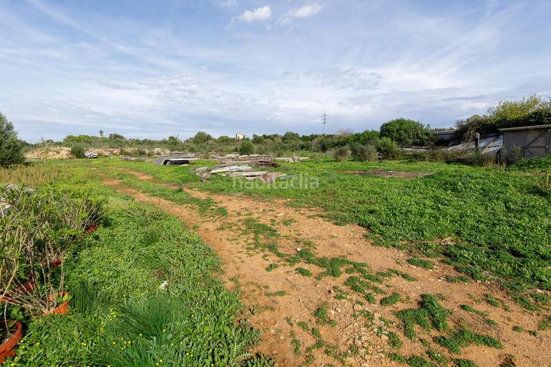 Foto 9f443db0-bbfb-463a-9651-1a6962018d6e. Xalet amb calefacció aparcament piscina a Manacor centre Manacor