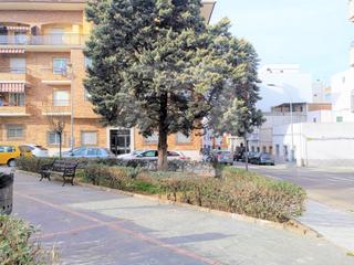 Local Comercial en Pardaleras