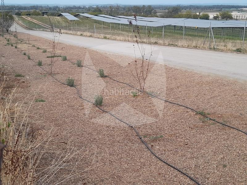 Foto 503e9ba6-92ec-47d1-bf43-1f4c8a3145a6. Terrain résidentiel dans Golf Guadiana Badajoz