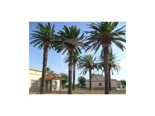 Chalet en La Estación. Chalet en venta con parcela de 30.000 m2 zona crta. caceres