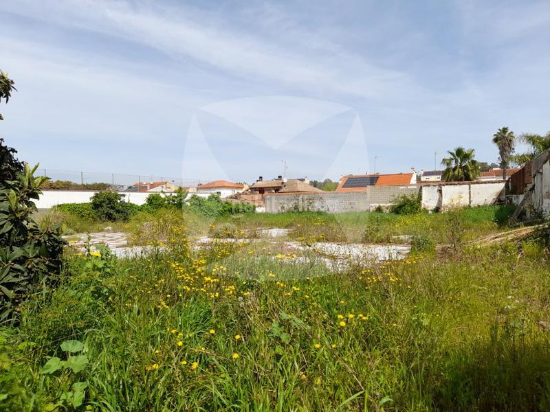 Foto c3e7a6af-cf6f-4b31-a37a-4e344da082b0. Terreny residencial a Avenida Elvas Badajoz