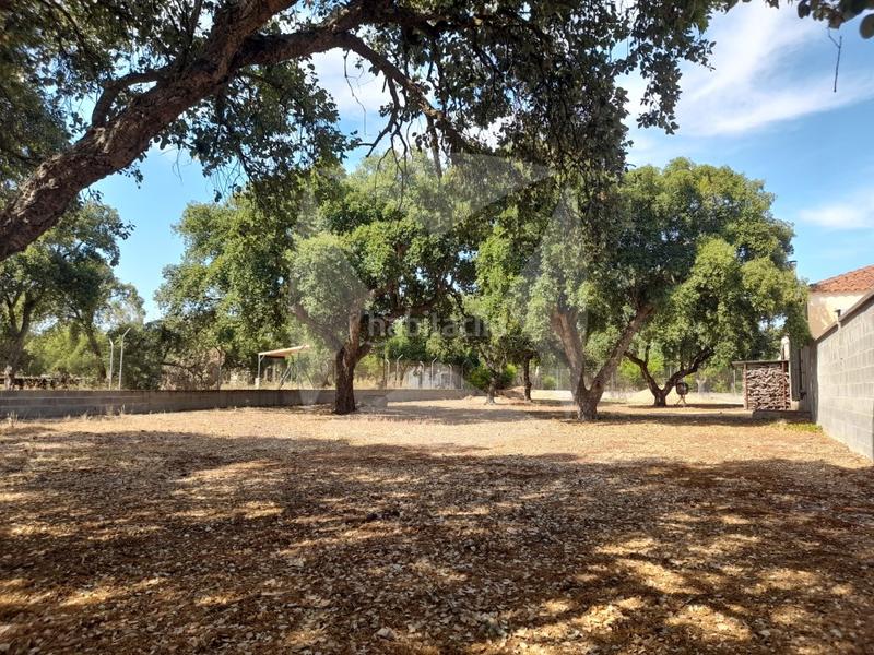Foto dc0d194d-eff9-4bec-b634-0c16e5ae5ca7. Chalet con parcheggio piscina in Avenida Elvas Badajoz