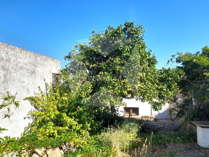 Foto 388d35c9-4b56-4cd6-a1df-529d73733a32. Casa a Alburquerque