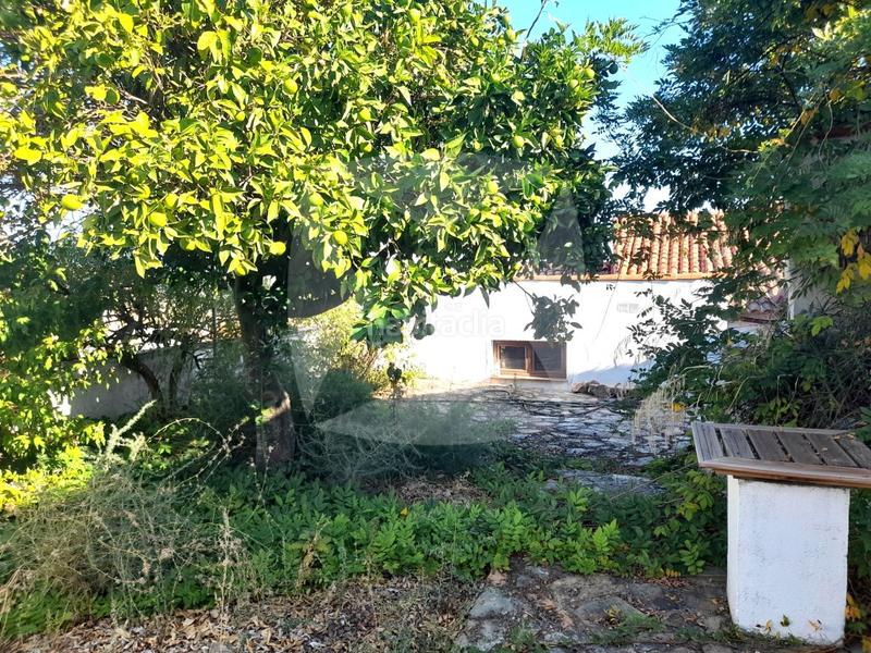 Foto 7173dfd7-5e3d-48c7-bce4-4358487b84dd. Casa a Alburquerque