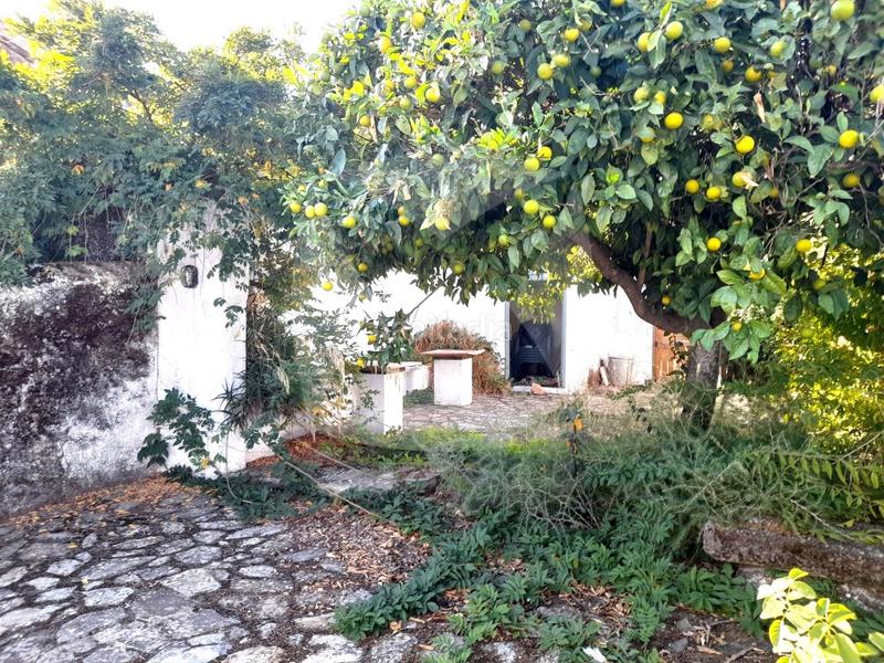 Foto 78f78866-a352-4210-a42f-bc1e816fff0a. Casa a Alburquerque