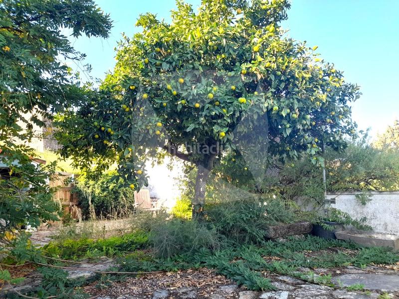 Foto 7c36f1a0-9d8c-4676-af15-fe03af257e2c. Casa a Alburquerque