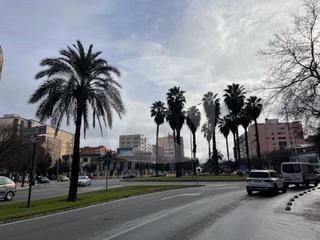 Miete Etagenwohnung  Avenida sinforiano madroñero. Piso en alquiler de 4 dormitorios, terraza y garaje. zona valdep