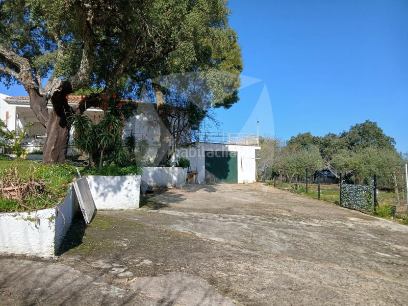 Foto 05c5e864-10d1-4b7c-8078-fb4bcd9c42ca. Xalet amb aparcament piscina a Campus Universitario Cáceres