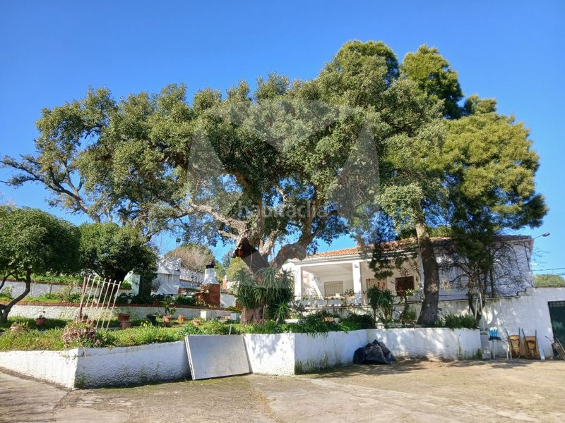 Foto 09b3842e-9796-41a9-ad54-163c533bdfff. Xalet amb aparcament piscina a Campus Universitario Cáceres