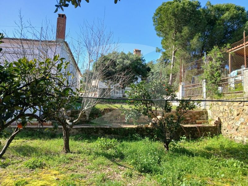 Foto 25a9b82c-fbaa-4ec4-8396-b5ffeebb4958. Xalet amb aparcament piscina a Campus Universitario Cáceres