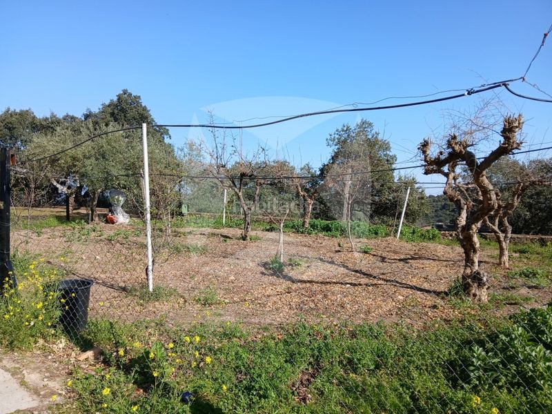 Foto 7883ba9d-4558-4cf1-860f-6dc1396d55cd. Xalet amb aparcament piscina a Campus Universitario Cáceres